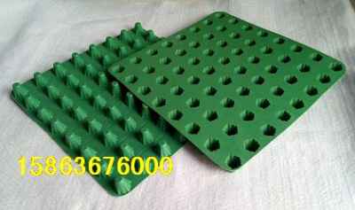 湖北十堰樓頂綠化塑料排水板市場迎來新機遇，建筑建材行業綠色轉型提速